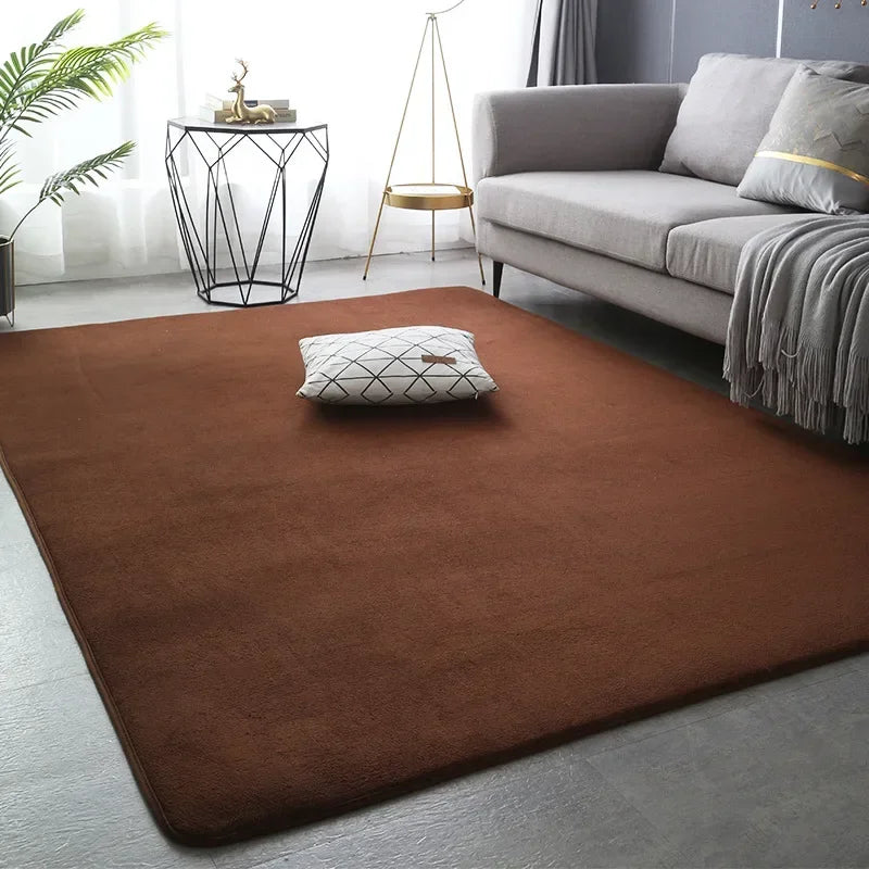 Rectangular Coral Velvet Carpets For Living Room White Bedroom Rugs Non Slip Floor Cushions Dining Room Mat Home Decor