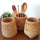 Small Baskets for Organizing, Wicker Baskets Water Hyacinth Baskets, Handwoven Desk Baskets for Shelves